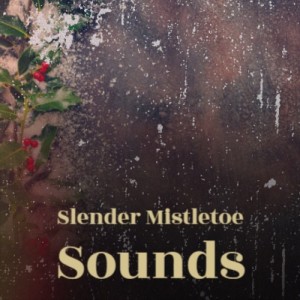 Listen to Santa's Hooked on Country Music song with lyrics from Jimmy Flynn