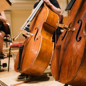 อัลบัม Slumber Orchestra: Relaxing Symphonic Melodies ศิลปิน Calm Music Masters