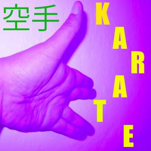 收聽Kendo的Musica per il Karate Vol. 10歌詞歌曲