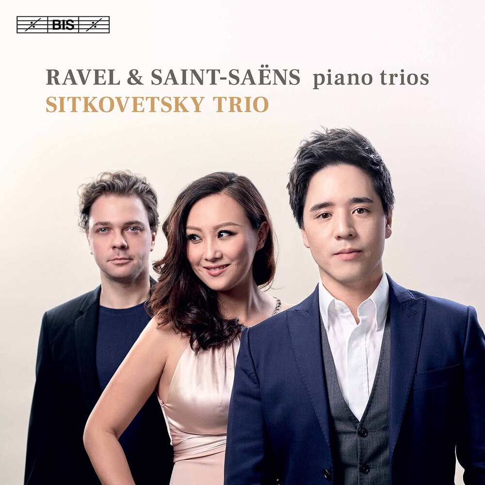 Piano Trio No. 2 in E Minor, Op. 92, R. 129: V. Allegro
