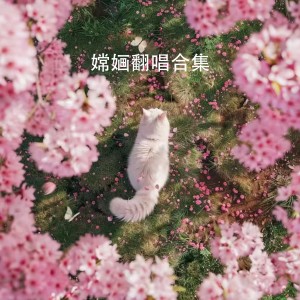 Listen to 同花顺 (cover: 张碧晨|徐佳莹) (其他) song with lyrics from 嫦婳