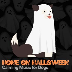 Relaxmydog的专辑Home on Halloween Calming Music for Dogs