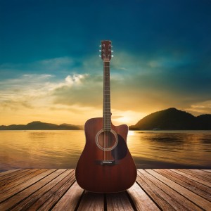 default playlist img