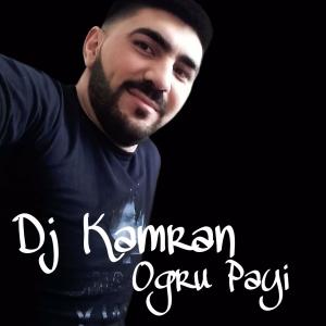 Listen to Ogru Payi song with lyrics from DJ Kamran MM