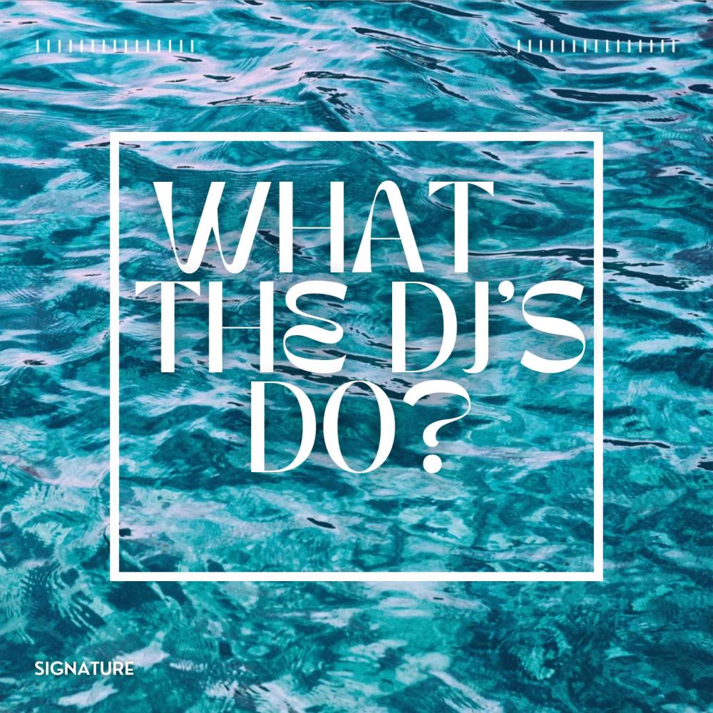 What The Dj's Do?