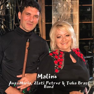 Ana-Maria的专辑Malino