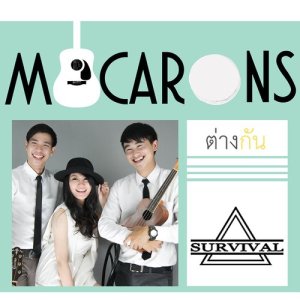 ดาวน์โหลดและฟังเพลง ไม่ต่างกัน พร้อมเนื้อเพลงจาก Macarons