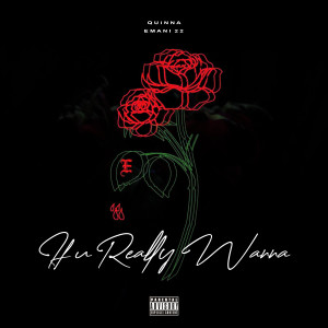 收听QUiNNA的If U Really Wanna (Explicit)歌词歌曲