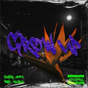 ดาวน์โหลดและฟังเพลง Grow up (feat. Aicom) (Explicit) พร้อมเนื้อเพลงจาก SNAFKN