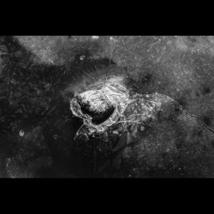 收听SPA的Tibetan Flow歌词歌曲