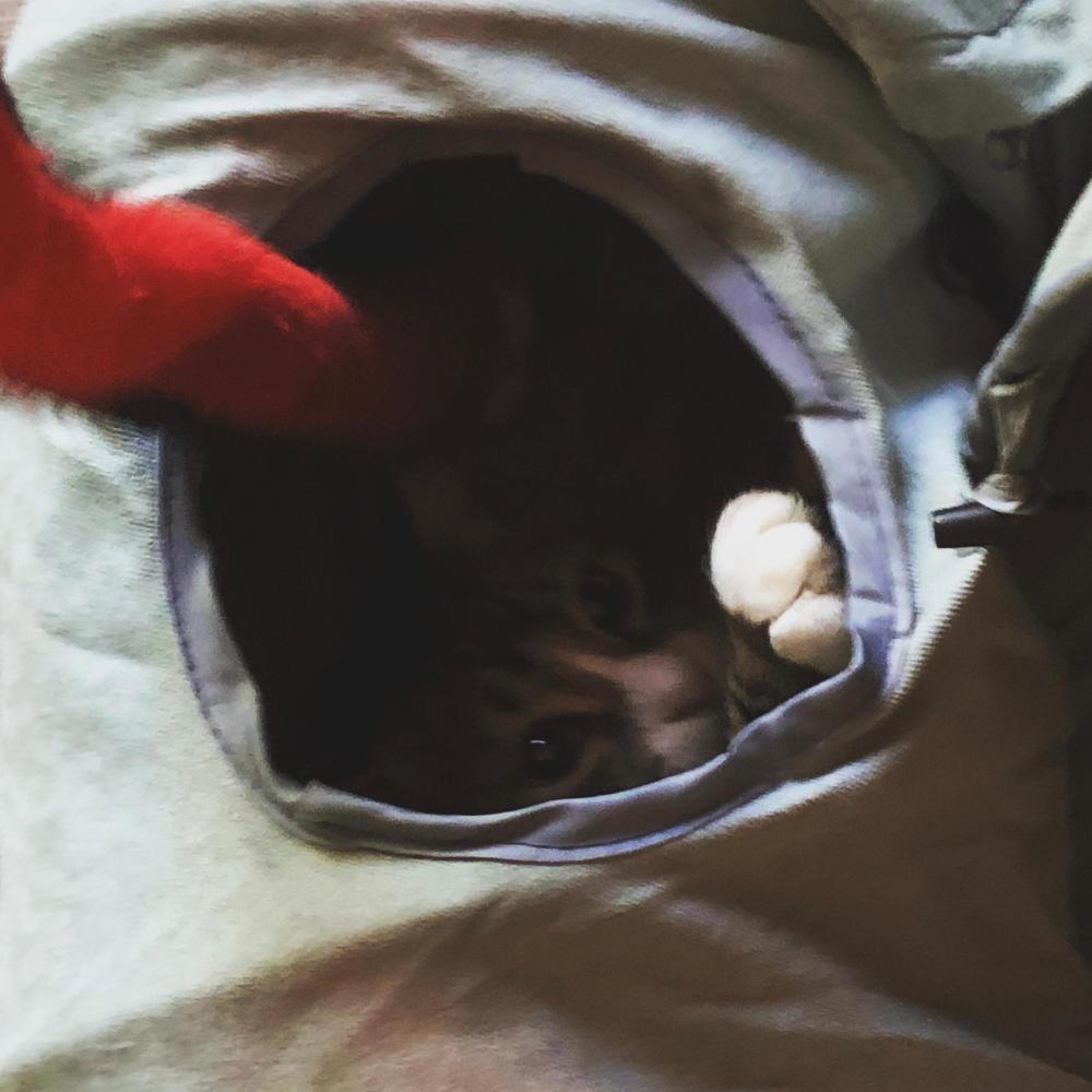 Lil' Escargot (feat. Bila A)
