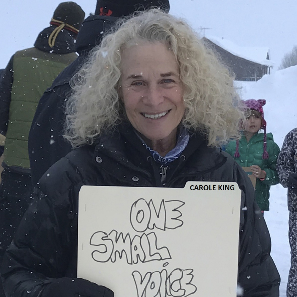 One Small Voice
