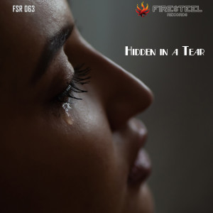 Listen to Dietro Una Lacrima song with lyrics from Nerio Poggi