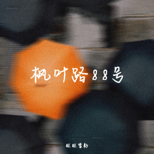 Listen to 枫叶路88号 (伴奏) song with lyrics from 旺旺雪籽