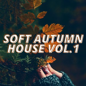 Various Artists的專輯Soft Autumn House Vol.1