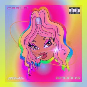 ดาวน์โหลดและฟังเพลง GRONKS (feat. DADS MAYO) (Explicit) พร้อมเนื้อเพลงจาก Carla From Bankstown