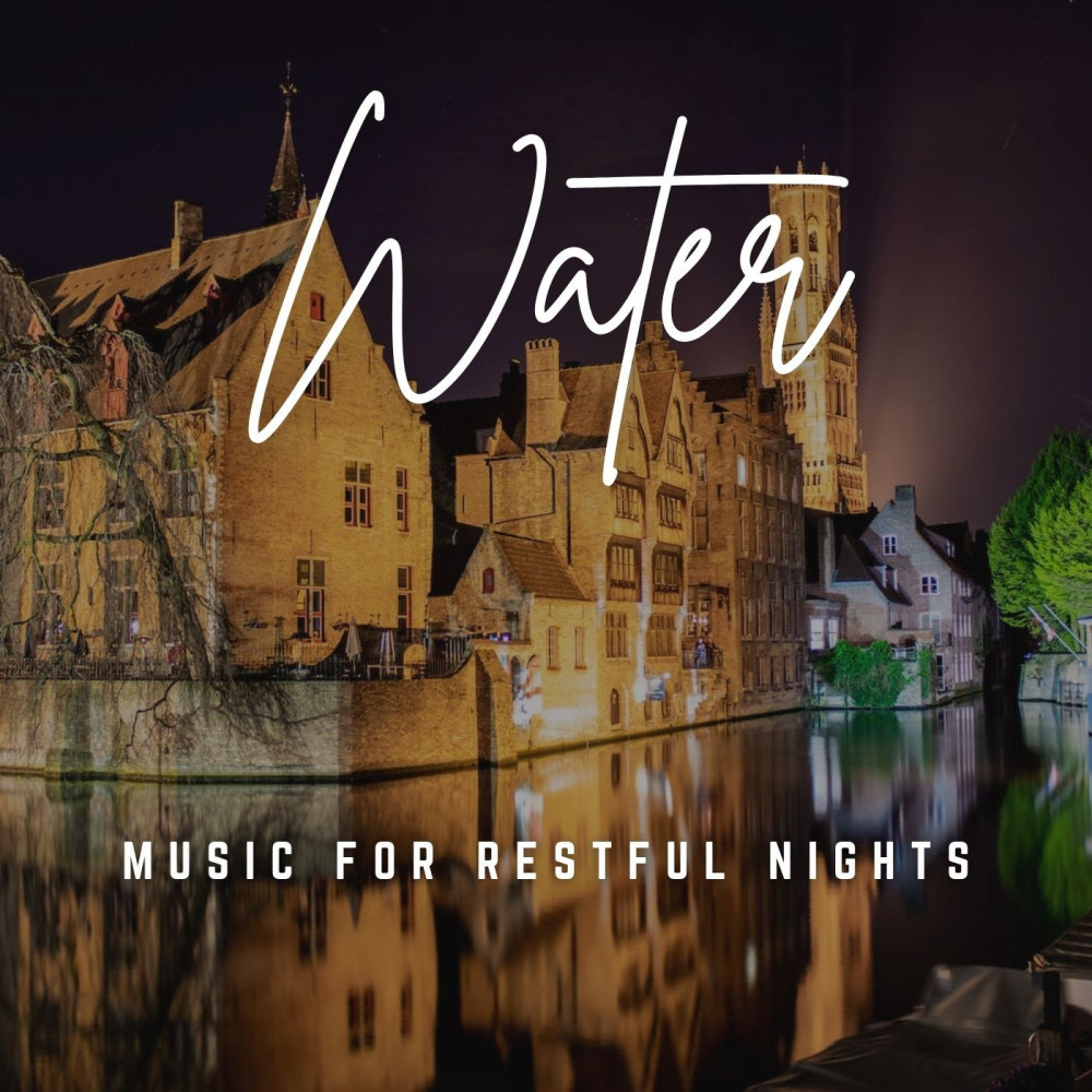 Nighttime Waterside Tranquility