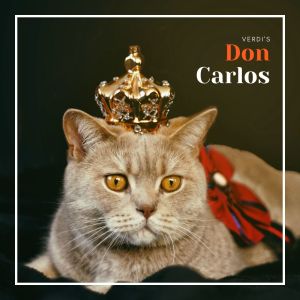 Listen to Don Carlos, Act IV: Toi qui sus le néant II song with lyrics from Charles Bruck