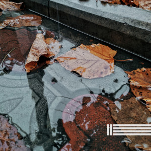 Dengarkan lagu Mood nyanyian Rain Sounds Reserve dengan lirik
