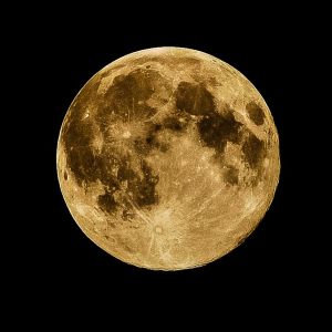 收聽群星的Sarkar歌詞歌曲