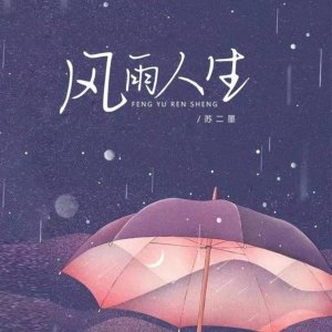 苏二墨的专辑风雨人生