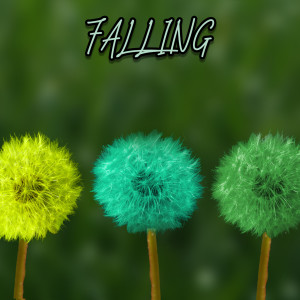Album Falling from 