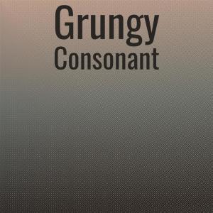 Various Artists的專輯Grungy Consonant