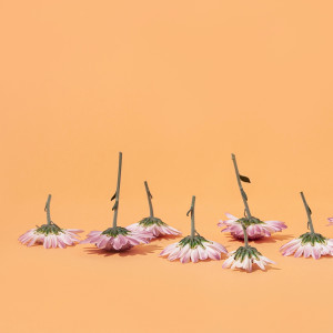 Dengarkan Raise Me Up lagu dari Spa Music Relaxation dengan lirik