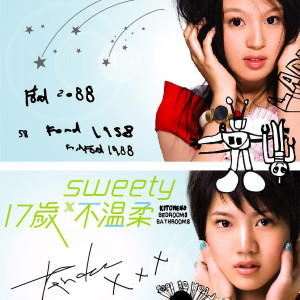 Album 17歲 不溫柔 oleh Sweety