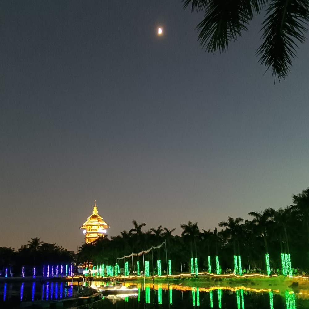 红桃柯
