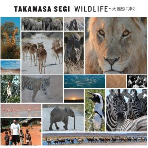 收聽Takamasa Segi的Wildlife歌詞歌曲