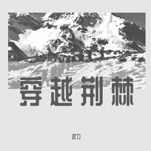 收听武力的穿越荆棘 (伴奏)歌词歌曲