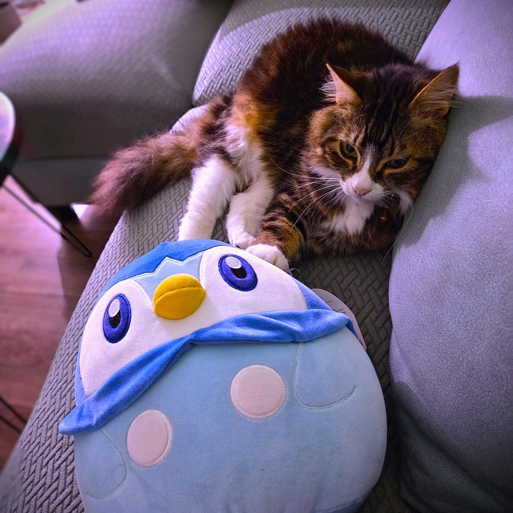 Piplup