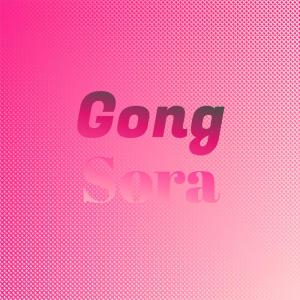 Various Artists的專輯Gong Sora