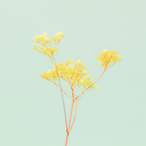 ดาวน์โหลดและฟังเพลง Tek it (slowed mix) (Slowed Mix) พร้อมเนื้อเพลงจาก Farhan Van Adel