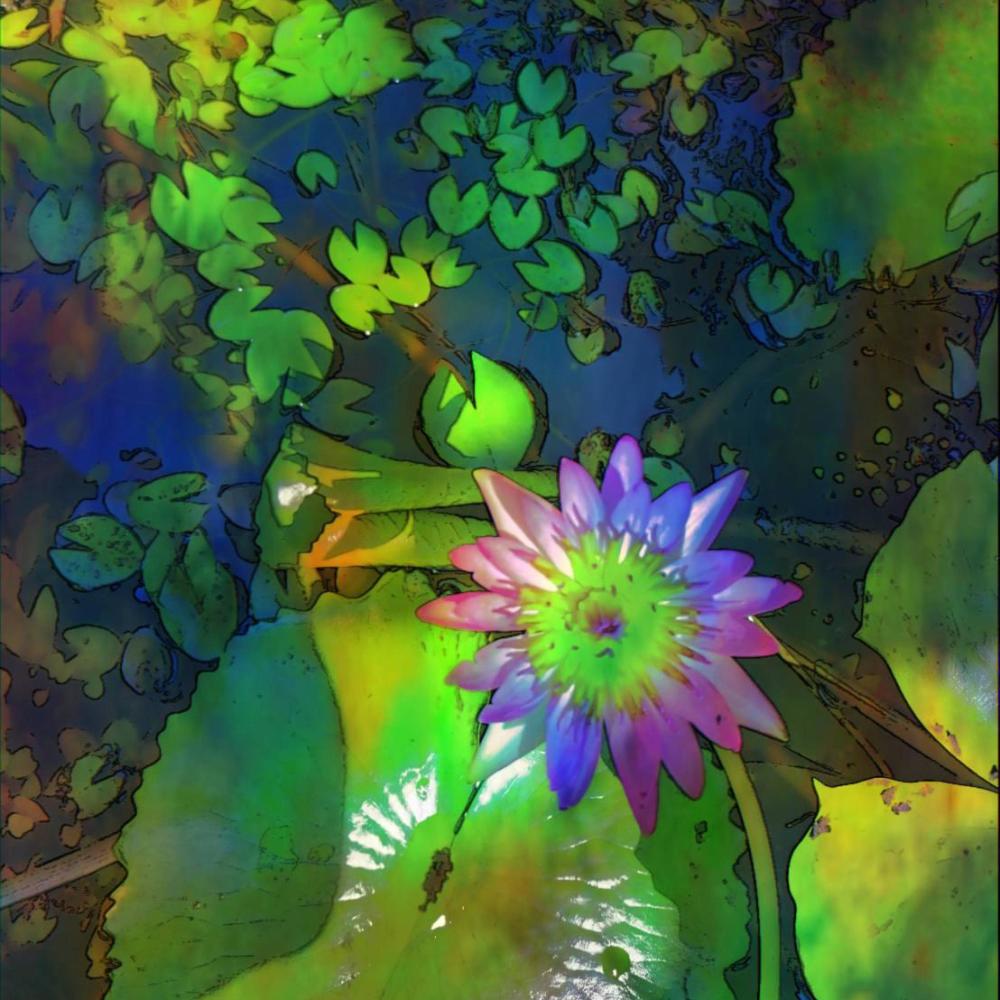 Sweet Dream Of The Frog