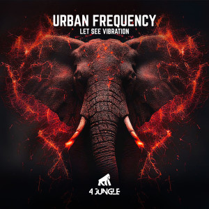 Album Let See Vibration from 