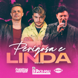 Album Perigosa e Linda (Remix) from Evandro