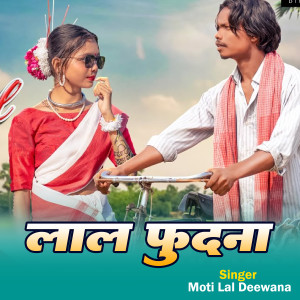 Listen to Lale fudanawa song with lyrics from Moti Lal Deewana