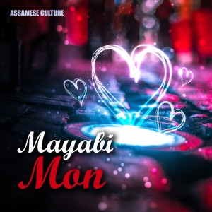 Rajib Raaj的专辑Mayabi Mon