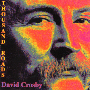 ดาวน์โหลดและฟังเพลง Through Your Hands พร้อมเนื้อเพลงจาก david crosby