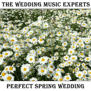 收聽Classical Wedding Music Experts的Unforgettable歌詞歌曲