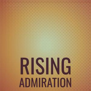 Listen to Rising Admiration song with lyrics from Ricch Shul