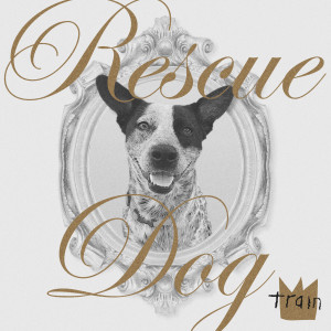 ดาวน์โหลดและฟังเพลง Rescue Dog พร้อมเนื้อเพลงจาก Train