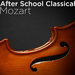 ดาวน์โหลดและฟังเพลง Symphony No. 40 in G Minor, KV. 550: III. Menuetto พร้อมเนื้อเพลงจาก Chopin----[replace by 16381]