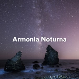 Album Armonia Noturna from Massagem