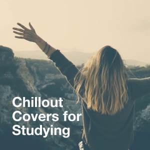 Listen to Just Give Me a Reason (Relaxing Chillout Version) [P!nk Feat. Nate Ruess Cover] song with lyrics from Hotel Lobby Lounge