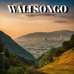 Dengarkan Wali Songo (Cover) lagu dari ERISATU MUSIK dengan lirik