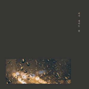 Listen to Confession song with lyrics from 비가 내리는 밤