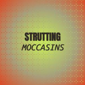 Dengarkan Strutting Moccasins lagu dari Kenet Dris dengan lirik